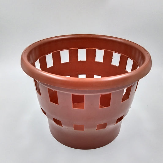 Orchid Terracotta Planter