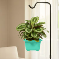 Hanging Planters